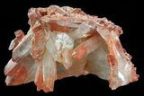 Natural, Red Quartz Crystal Cluster - Morocco #80655-1